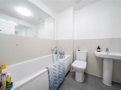 Picture 11